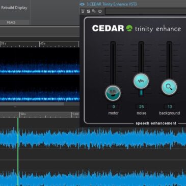 Cedar Audio
